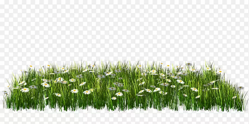 ������-������