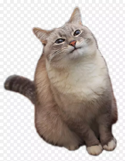 äèСè�����-������