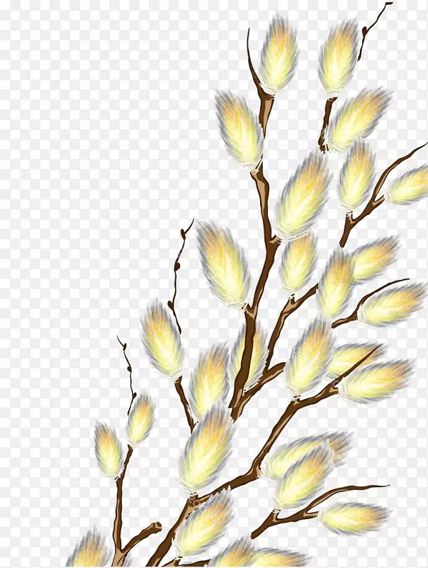 �л����֦ѿ��-������