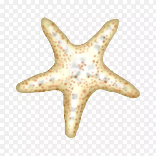 ���ǿ�ͨ-��ͨ�ߵ㺣��-������