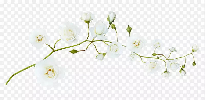 ���׻�-������