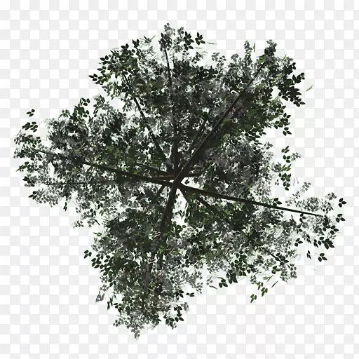 ����ӳ������Ⱦ���ϳ���-������