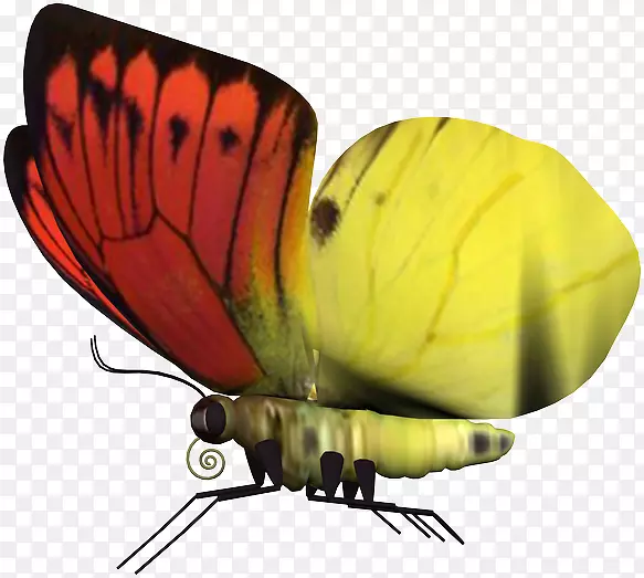 ����-������