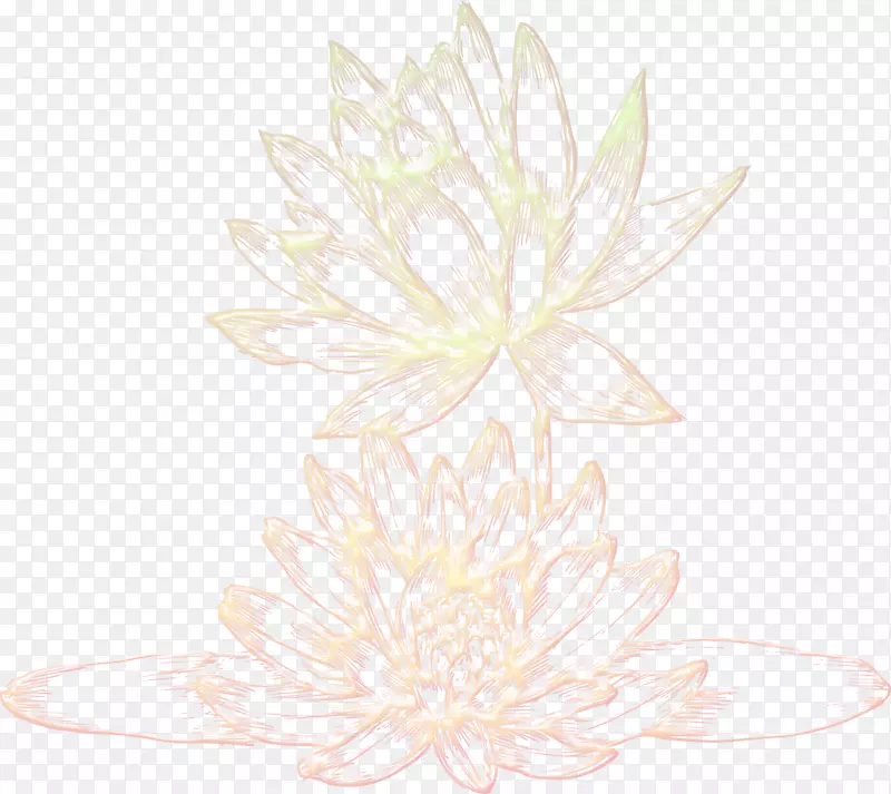 �������-������