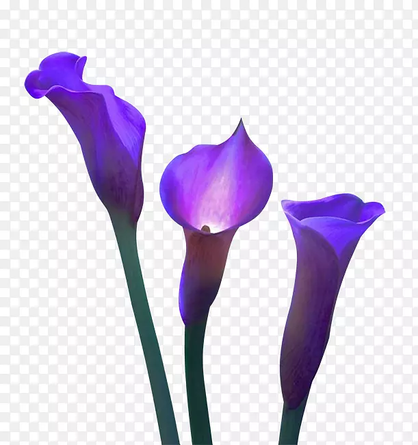 �л�������-������