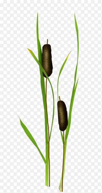 ������-������