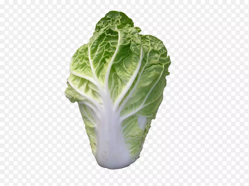 ���ˣ����Ĳˣ����Ĳˣ����࣬ʮ�ֻ����߲�.�������Ĳ�-������