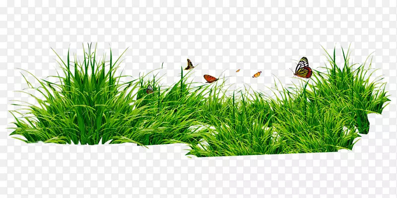 �༭ͼ��ֱ��ʼ�������-������