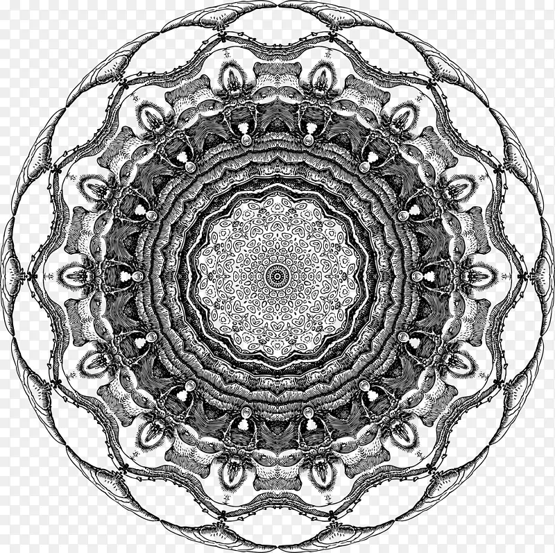 �Ӿ�������ɫ���-������