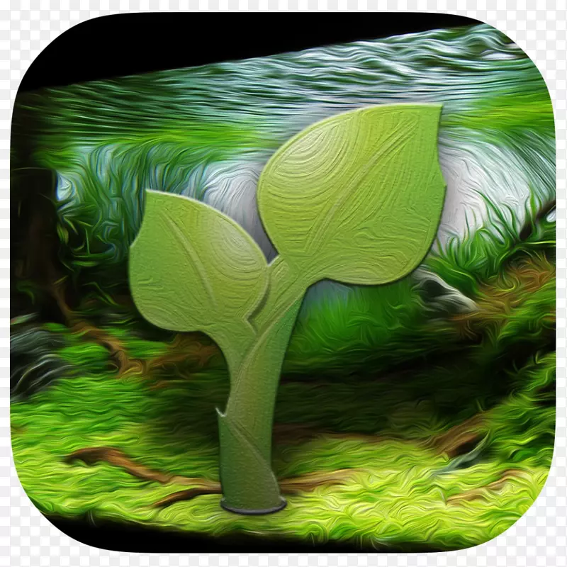 �ݱ�ֲ����Ҷ����-ֲ��-������