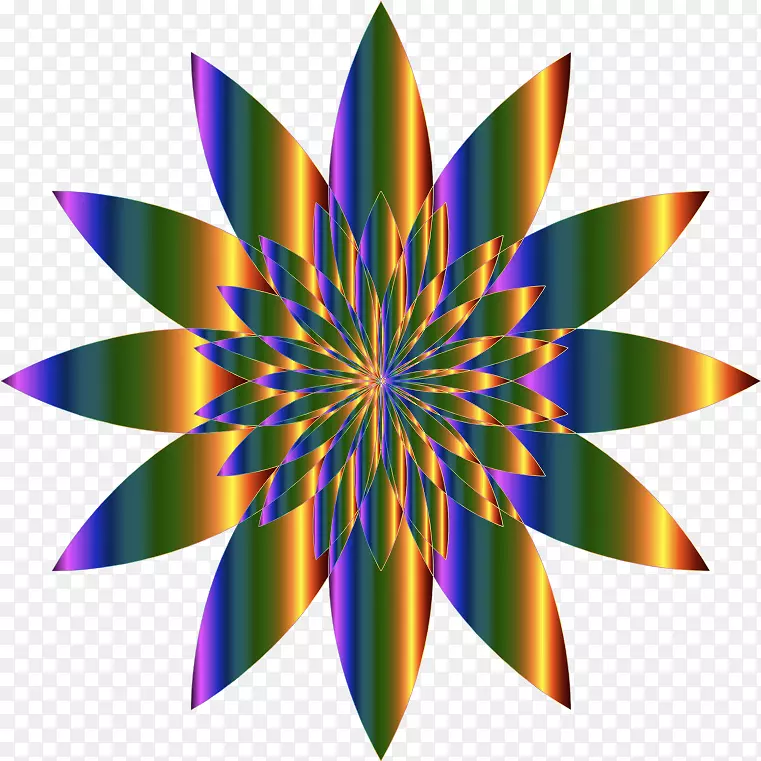 ���۾ۺ������ذ�-������