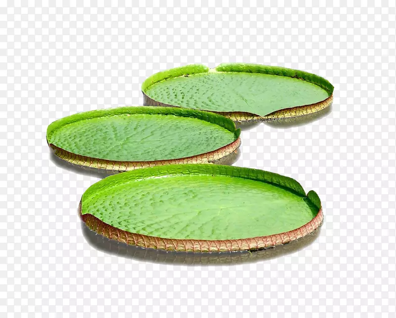 �����ʼ���������-������