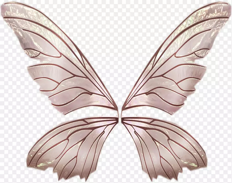 �������洫�۶��޼�׵�������-������