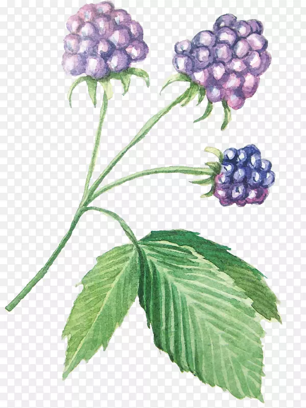 ��ˮ�ʻ�������-��-������