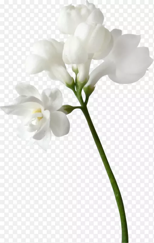 �廨����-������