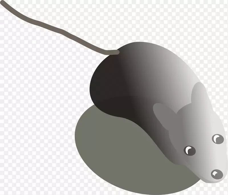 �������＼��-������