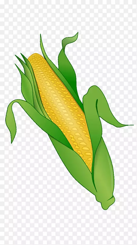 �����ϵ������߲������׼�����-�߲�-������