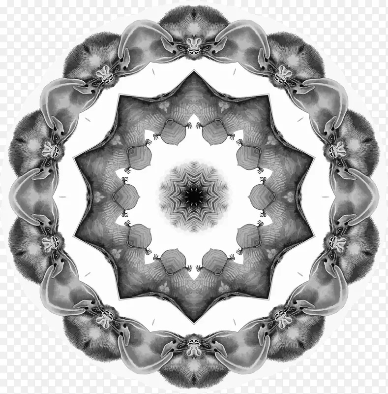 ��ɫ��ӰԲ�Գ�Բ-������