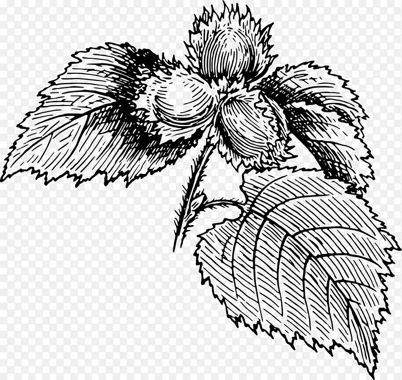 Flipnote������3D��ͼ��������-����-������