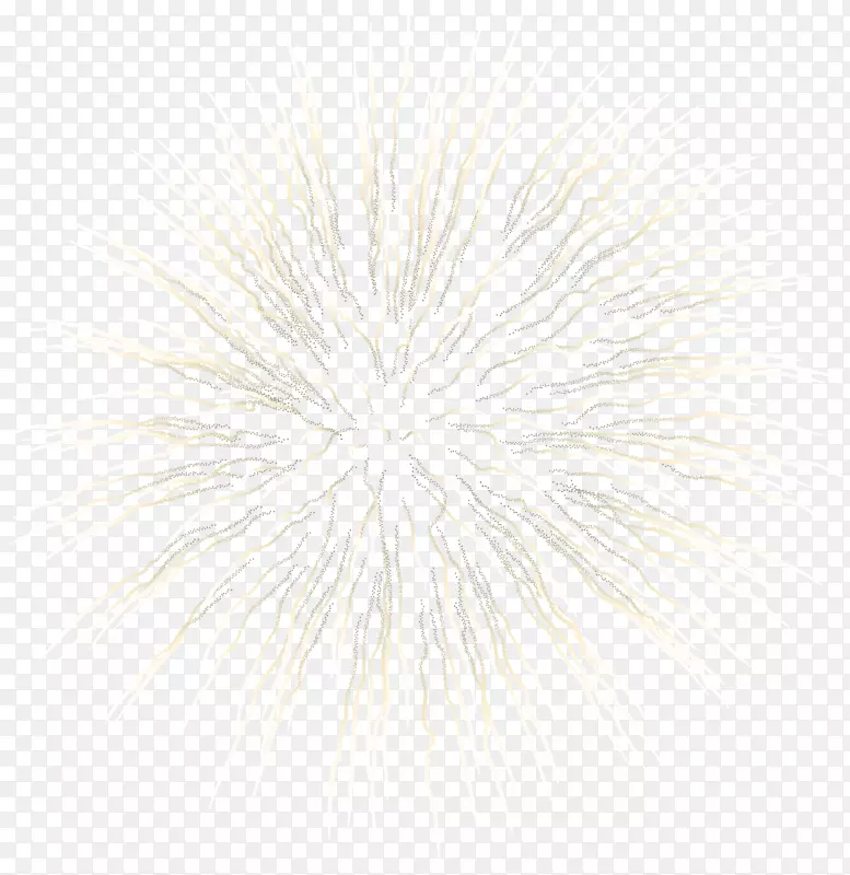 �߶Գ������ֽԲͼ����-������