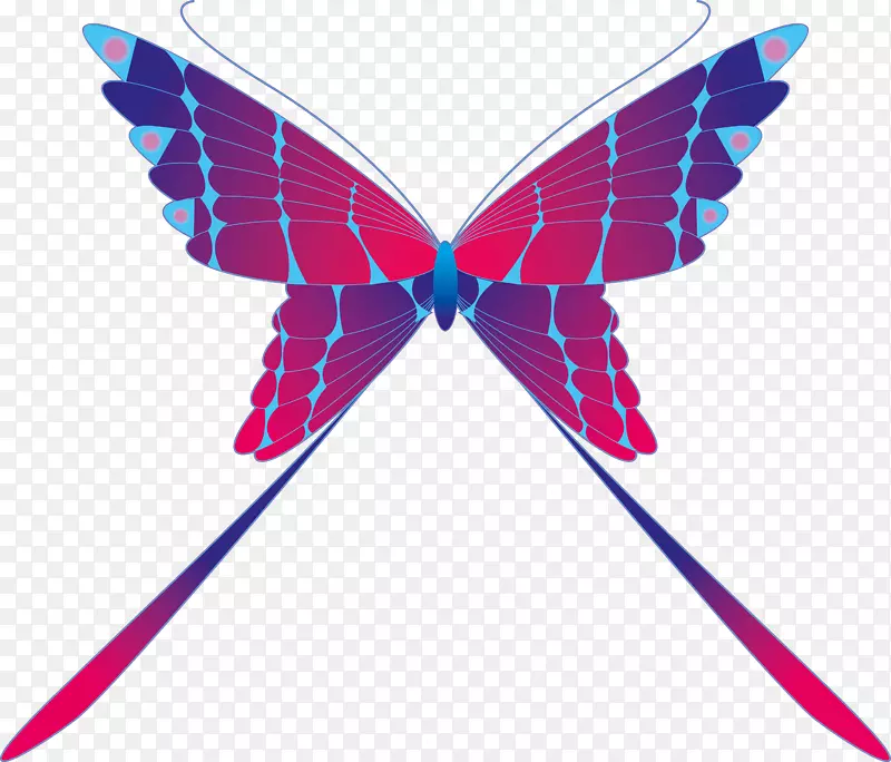 ��������괫�����޼�׵�������-������