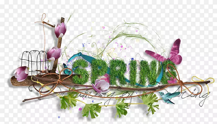 �������޹�²ݶ��㻨-������