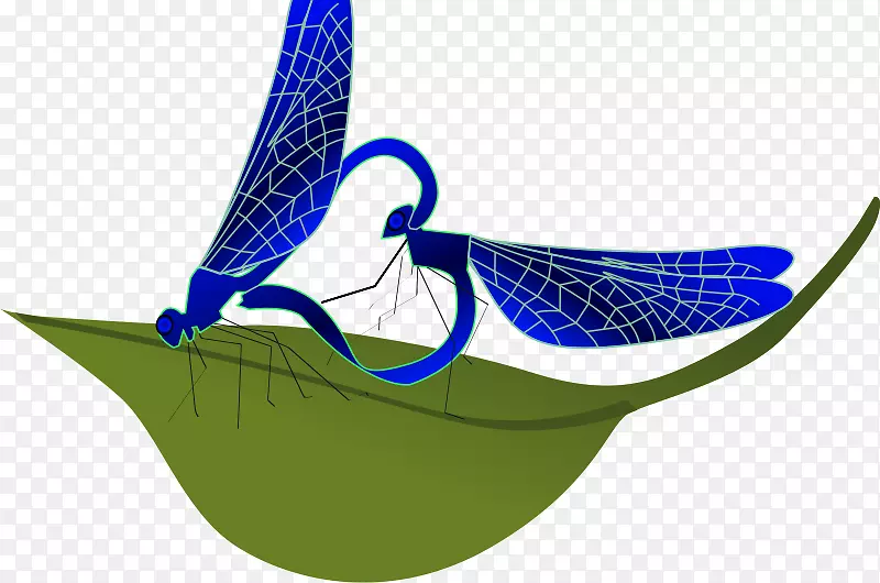 �������ѵ���ͼ�����������-������