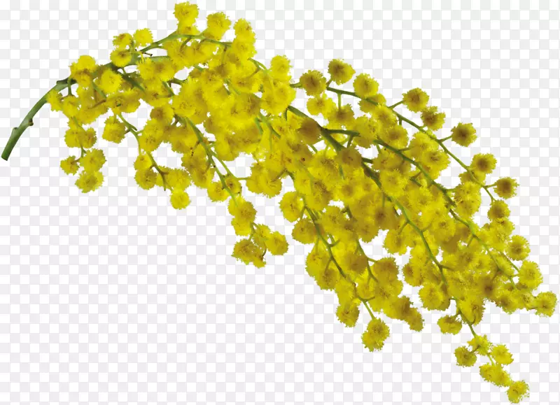 �鱦����������°���-�鱦����-������