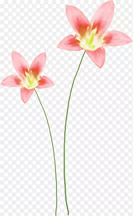 �л��������ˮ�ʻ�������-������