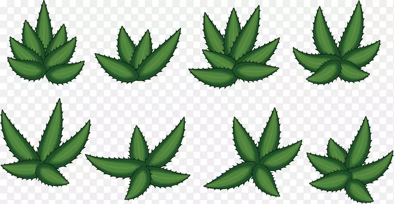 ŷ��«������-����«��-������