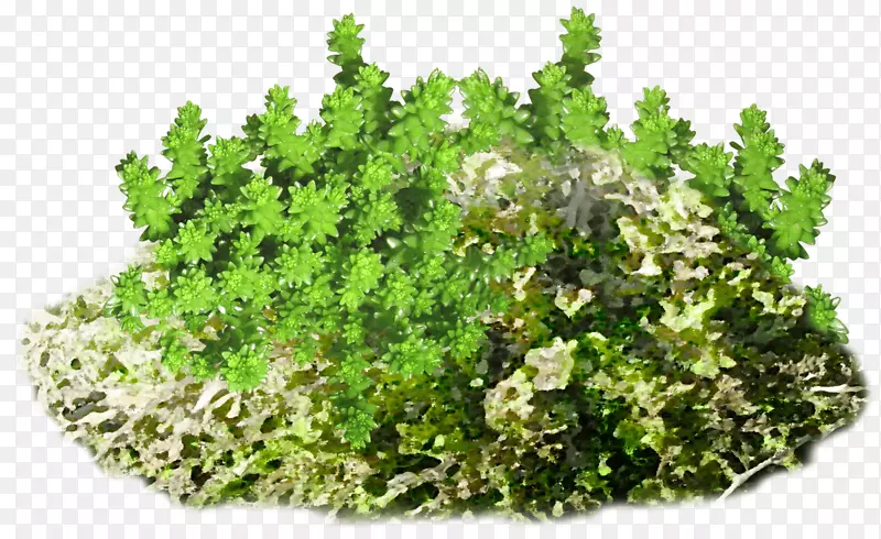 ���Ͷ����ݼ�����-������