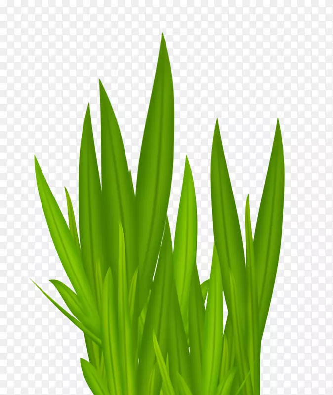 ����ǽֽ-�̲�-������