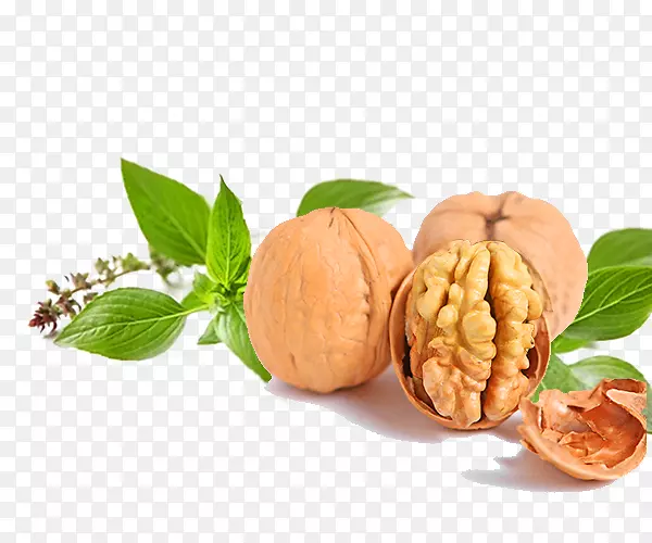 ������ʳ��ʳ-����-������