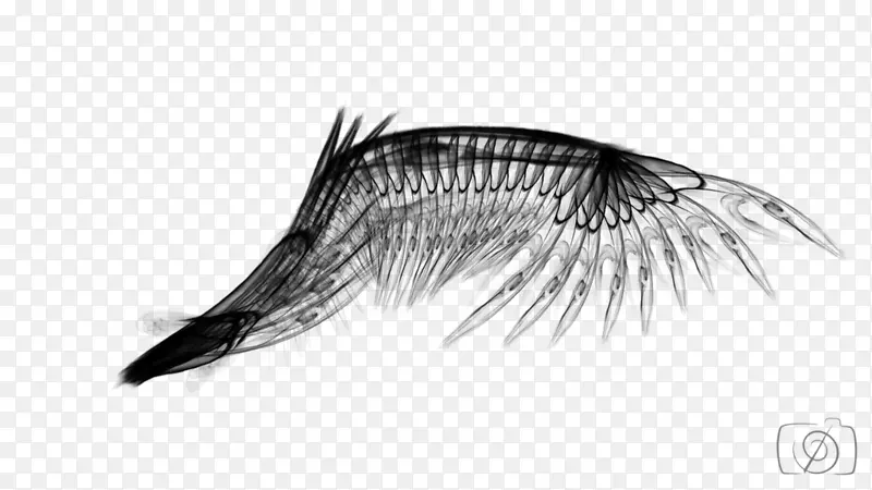 ��������-����PNG-������