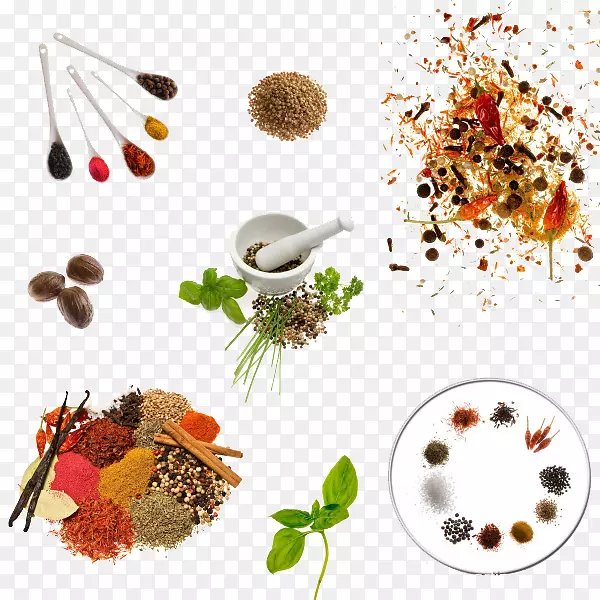 ���ϳ����������ʳƷ���ֳ�������-������