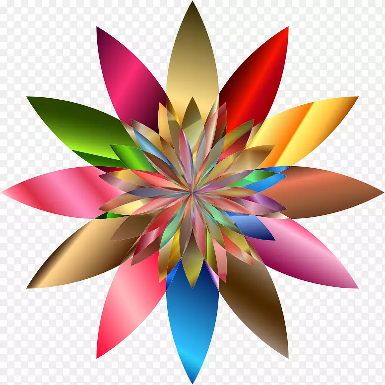 ������ɫ-������