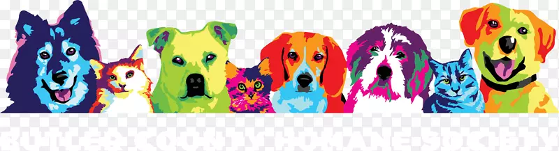 ƽ����������������-������