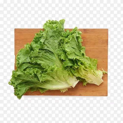 �����������߲�ʳƷ��������-������