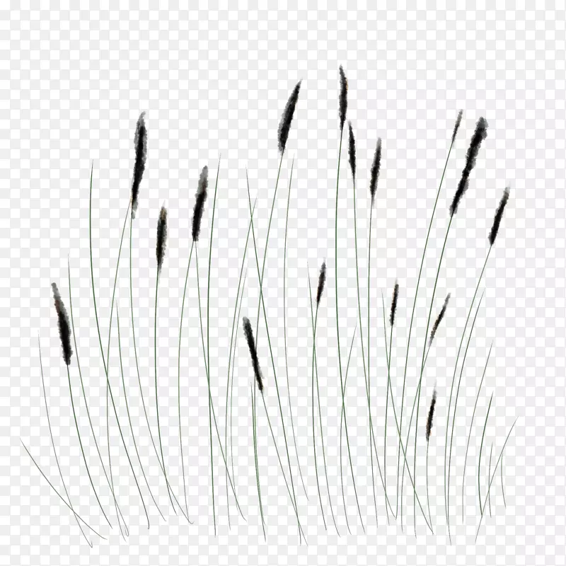 �ڰ���Ӱ�ײ�-������