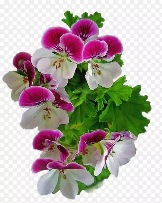 ����������������-������