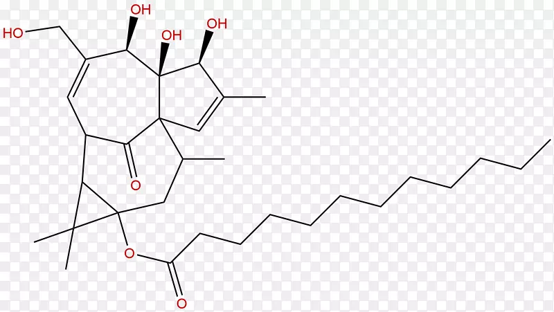 ������Բ���-������