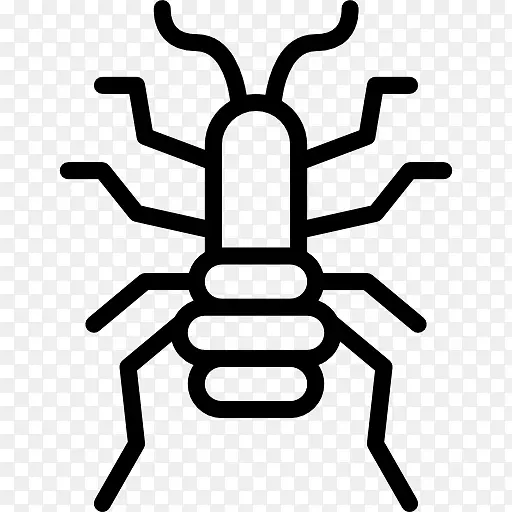 ������ʭ����������-������