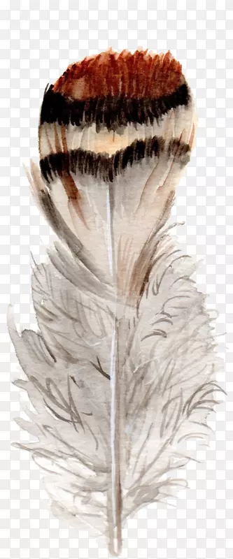 ��ë��ˮ�ʻ�������.��ë-������