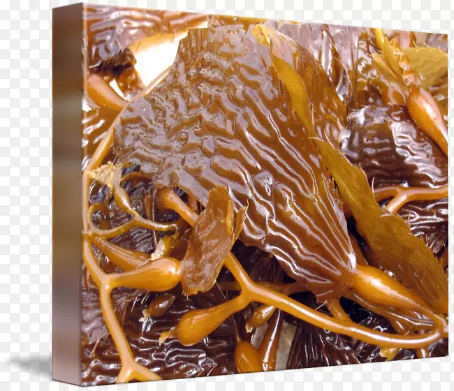 ���ز�����-����-������