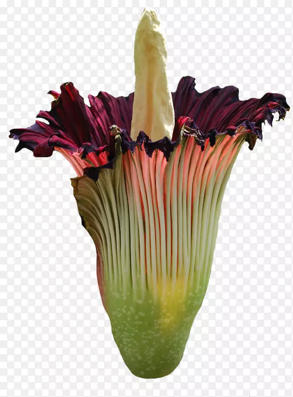 �������л�-������