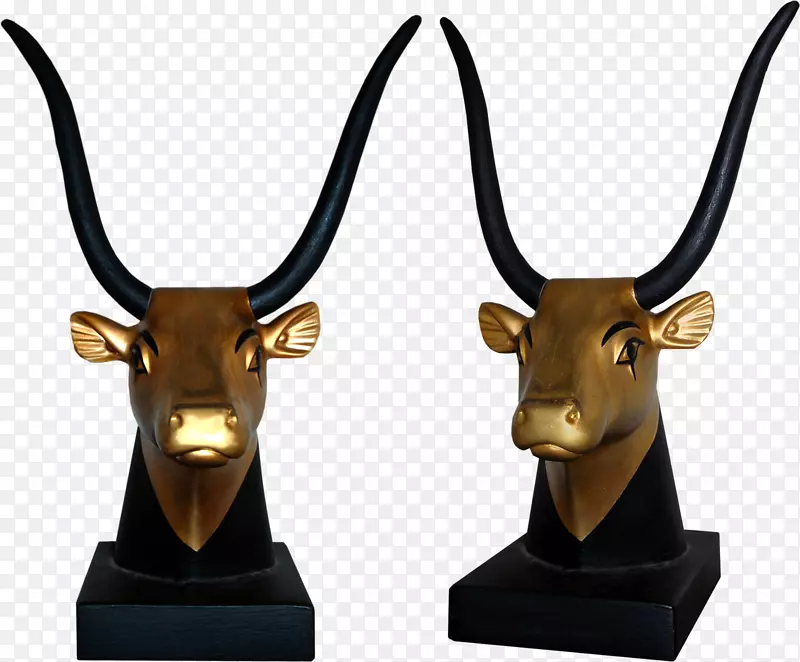 �Ű���������-�Ű����������-������