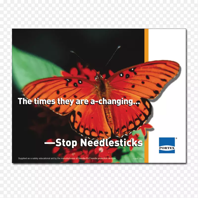 ������������������ڷ���-���⺣��-������