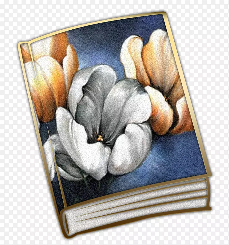 ͼƬ�򿪻�ֲ��.�ռǺڰ�-������