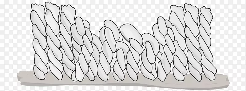 ��ɫ����-����ͼ��-������