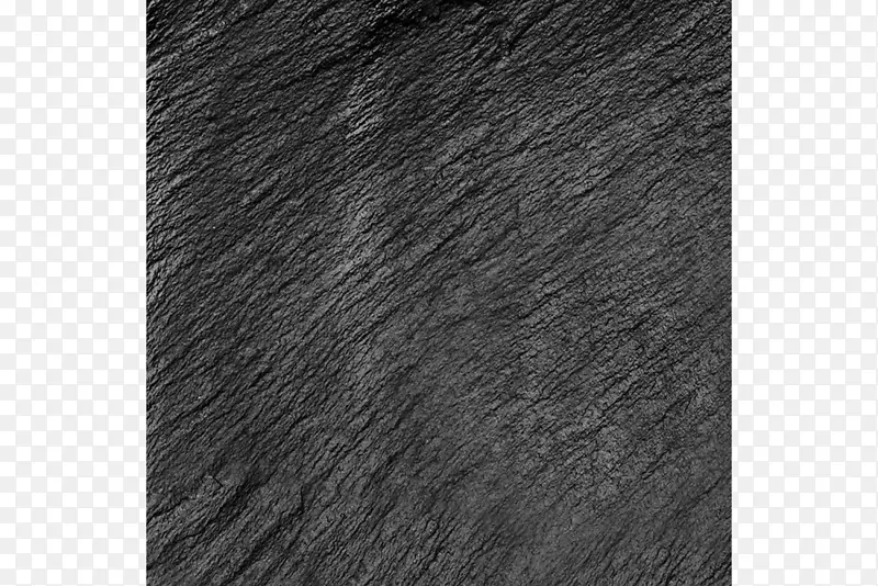 �ذ�ëƤ��ɫ��ë-������